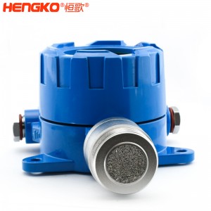 恒歌供應(yīng)工業(yè)級(jí)一氧化碳探測(cè)器_帶精密多孔耐腐蝕不銹鋼過濾器防爆外殼