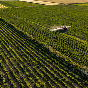 農業大棚溫濕度監控系統的升級方案有幾種呢？