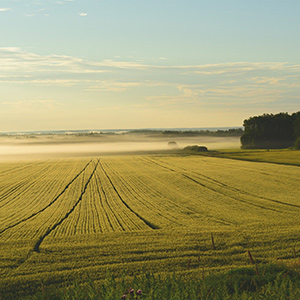 農業大棚溫濕度監控系統如何進行升級呢？